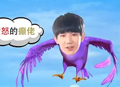 包含英雄哥大放异彩！广东带队纵横捭阖的词条