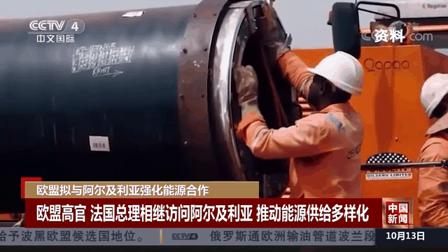 包含塞尔维亚与阿尔及利亚的较量引人关注！的词条